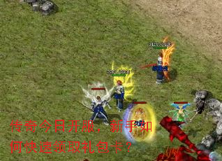 ������տ�����������ο�����ȡ�������