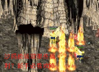 ɳ������ȡ��Щ���������ֱؿ�����