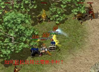 ���������ת�������ִ壿