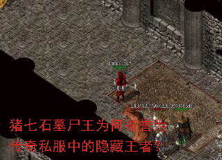 ����ʯĹʬ��Ϊ�α���Ϊ����˽���е��������ߣ�