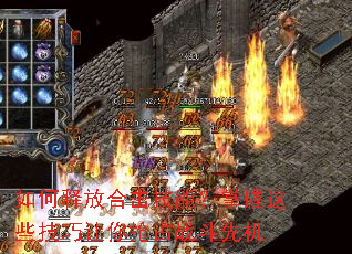 ����ͷźϻ����ܣ�������Щ����������ռս���Ȼ�