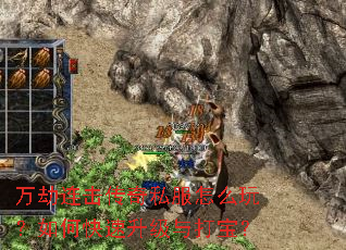 �����������˽����ô�棿��ο���������򱦣�