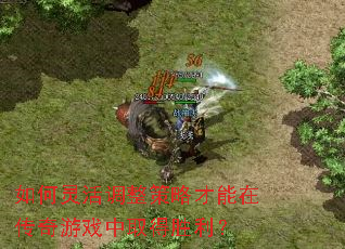 ������������Բ����ڴ�����Ϸ��ȡ��ʤ����