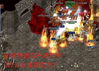 ��ο����������´�˵2����ħ��ʵ����