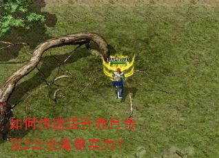 ��ο����������´�˵2����ħ��ʵ����