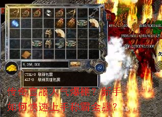 ����ٷ��������������ο������ֳư�ȫ����