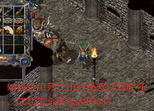 �����������ɽ����������ʤǿ���ɹ���ɱ�ռ���BOSS��