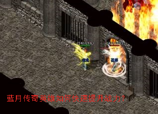 ���´���Ӣ����ο�������ս����