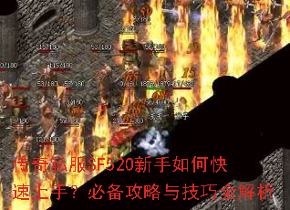 ����˽��SF520������ο������֣��ر������뼼��ȫ����