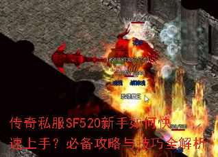 ����˽��SF520������ο������֣��ر������뼼��ȫ����