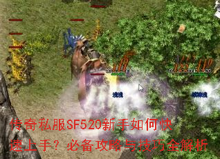 ����˽��SF520������ο������֣��ر������뼼��ȫ����