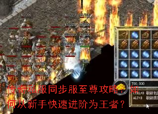 ����˽��ͬ���������ԣ���δ����ֿ��ٽ���Ϊ���ߣ�