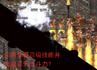 ������հټ����ܲ���������ս������