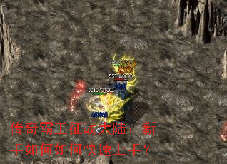 ���������ս��½�����������ο������֣�