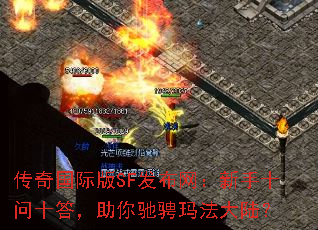 ������ʰ�SF������������ʮ��ʮ������۳��귨��½��