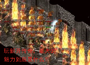 ���¿����棬��������������ʲô��