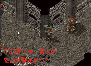 ���¿����棬��������������ʲô��