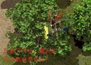 ���¿����棬��������������ʲô��