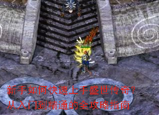 ������ο�������ʢ�����棿�����ŵ���ͨ��ȫ����ָ��