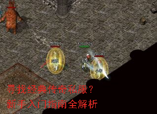 Ѱ�Ҿ��䴫��˽������������ָ��ȫ����