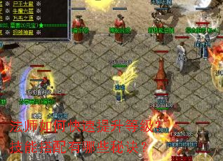 ��ʦ��ο��������ȼ������ܴ�������Щ�ؾ���