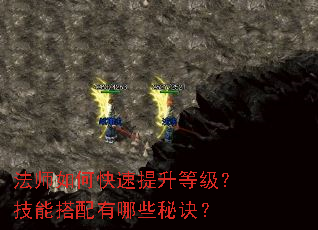 ��ʦ��ο��������ȼ������ܴ�������Щ�ؾ���