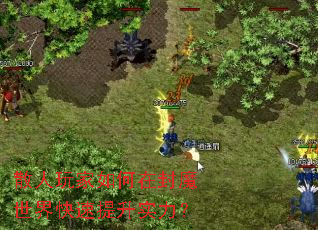 ɢ���������ڷ�ħ�����������ʵ����