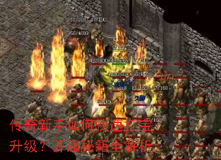 ����������ο��ٴ������������ؼ�ȫ����