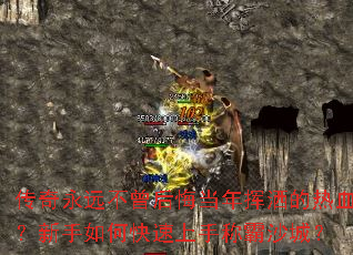 ������Զ������ڵ����������Ѫ��������ο������ֳư�ɳ�ǣ�