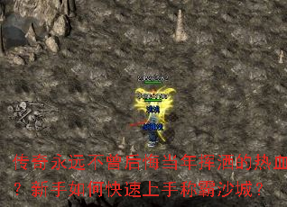 ������Զ������ڵ����������Ѫ��������ο������ֳư�ɳ�ǣ�