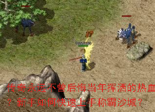 ������Զ������ڵ����������Ѫ��������ο������ֳư�ɳ�ǣ�