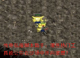 ����˽���ű����֣���Щ���Ź�����������ɳ�����������ң�