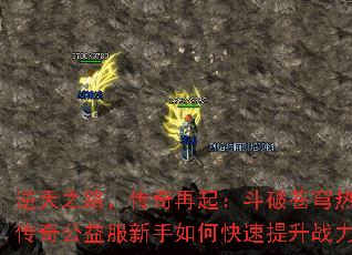 ����֮·���������𣺶��Ʋ����Ѫ���湫���������ο�������ս����