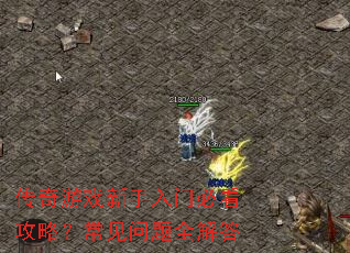 ������Ϸ�������űؿ����ԣ���������ȫ���