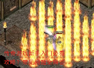 ������Ϸ�������űؿ����ԣ���������ȫ���