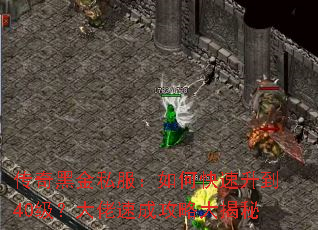 ����ڽ�˽������ο�������40���������ٳɹ��Դ����