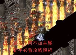 սʿװ��Ϊ�β��������ԣ����ֱؿ����Խ���