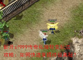 �¿�sf999����˽������淨���ԣ���ο��������ռ����أ�