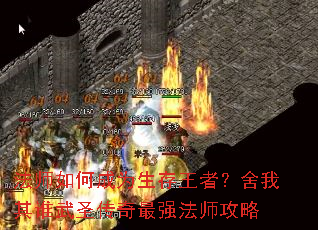 ��ʦ��γ�Ϊ�������ߣ�������˭��ʥ������ǿ��ʦ����