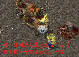 ��ʦ��γ�Ϊ�������ߣ�������˭��ʥ������ǿ��ʦ����