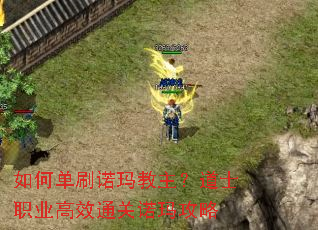 ��ε�ˢŵ���������ʿְҵ��Чͨ��ŵ�깥��