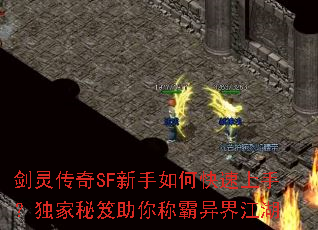 ���鴫��SF������ο������֣�������������ư���罭��