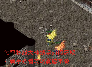 ����˽�������ѧ��λ�ȡ�����ֱؿ���������Ϯ