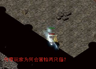 �������Ϊ�λẦ����ֻè��