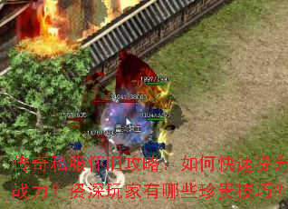 ����˽�����ɹ��ԣ���ο�������ս���������������Щ����ɣ�