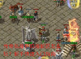 ����˽�����ɷ�������ô�棿���ֿ�������ָ��