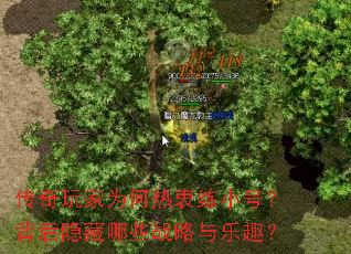 传奇玩家为何热衷练小号?背后隐藏哪些战略与乐趣? 传奇玩家为何热衷练小号?背后隐藏哪些战略与乐趣?