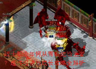战士职业如何从青铜进阶王者?理性投资与成长攻略全解析 战士职业如何从青铜进阶王者?理性投资与成长攻略全解析