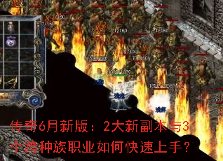 ����6���°棺2���¸�����3��������ְҵ��ο������֣�