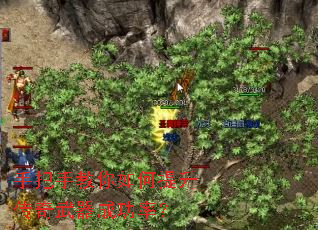手把手教你如何提升传奇武器成功率? 手把手教你如何提升传奇武器成功率?